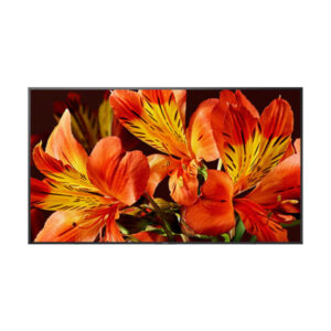 Sony BRAVIA FW-75BZ35F