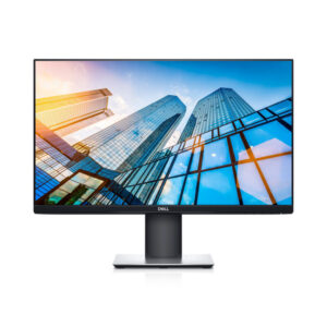 Dell Professional P2419H