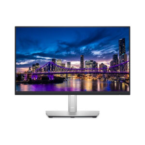 Dell Professional P2422H