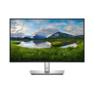 Dell Professional P2422HE