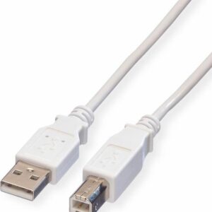 019b4a6d-87a6-784c-89c1-11bed64ed684-720